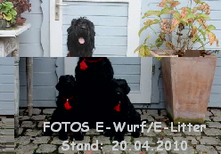 FOTOS E-Wurf/E-Litter
Stand: 20.04.2010