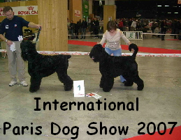 International 
Paris Dog Show 2007