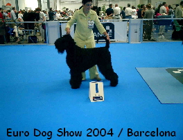 Euro Dog Show 2004 / Barcelona