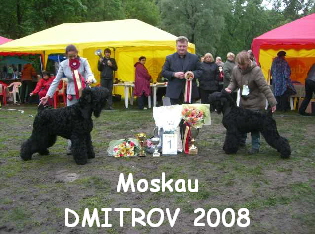 Moskau
DMITROV 2008