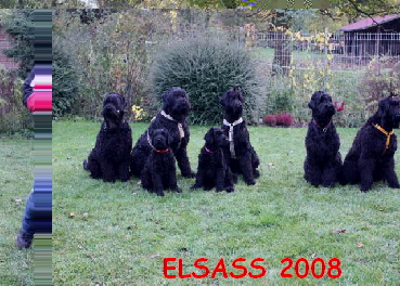 ELSASS 2008